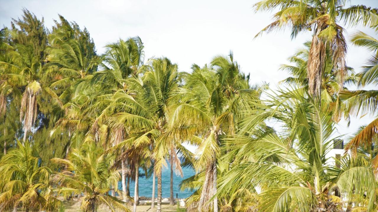 Paje Blu Boutique Hotel المظهر الخارجي الصورة